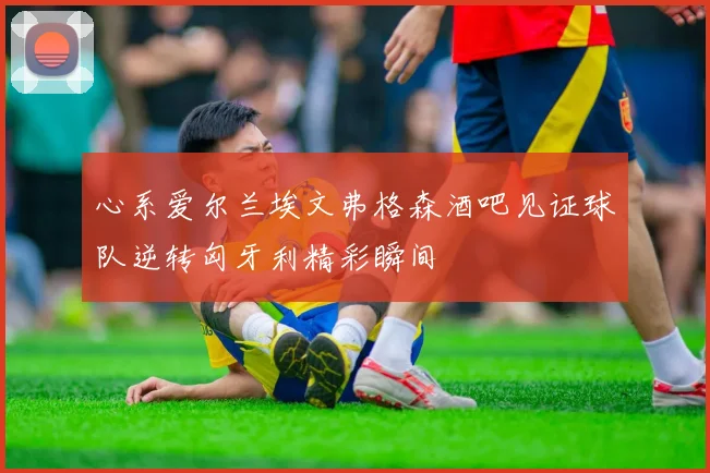 心系爱尔兰埃文弗格森酒吧见证球队逆转匈牙利精彩瞬间